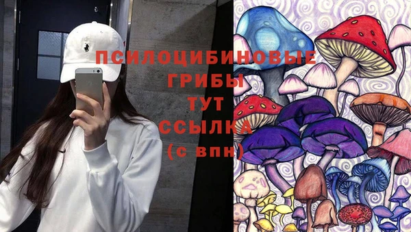 mix Абаза