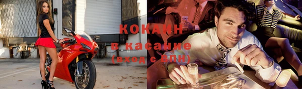 прущие грибы Абинск