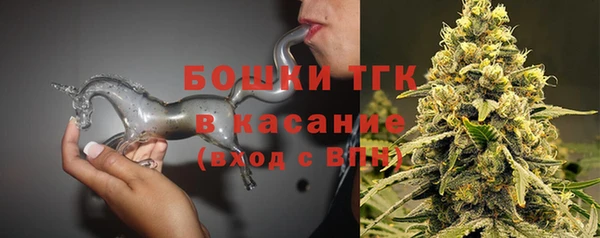 прущие грибы Абинск