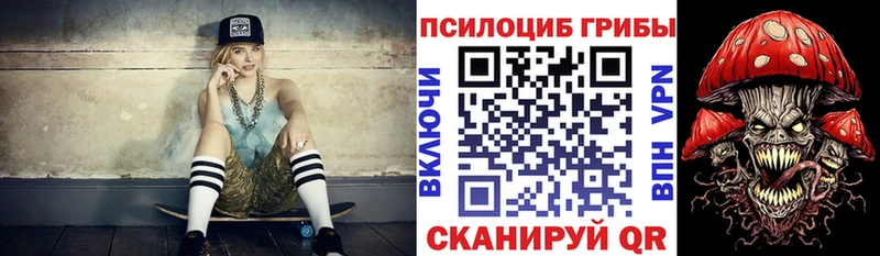 Псилоцибиновые грибы Cubensis  Ангарск 
