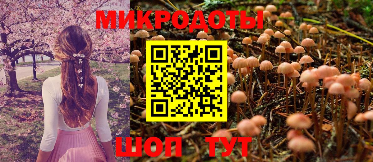 Ангарск  Псилоцибиновые грибы GOLDEN TEACHER  хочу наркоту  Галлюциногенные грибы мухоморы  Вход с VPN 